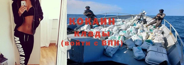 стафф Алзамай