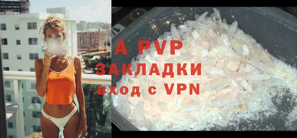 стафф Алзамай