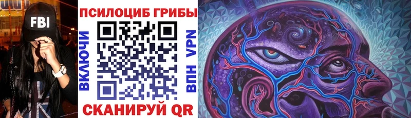 Псилоцибиновые грибы Cubensis  Николаевск-на-Амуре 
